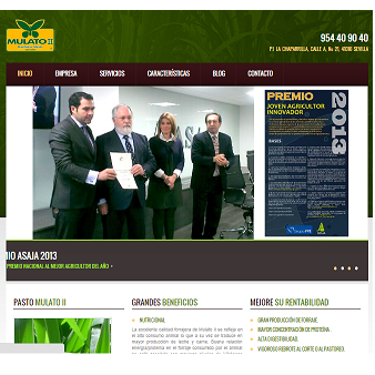 proyecyo web